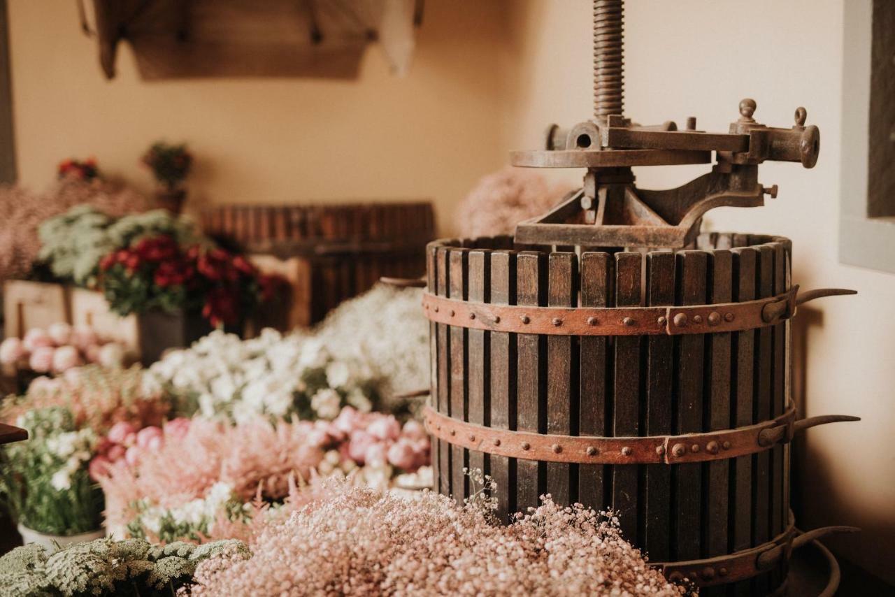 Tenuta Torre Rossa Farm & Farm stay *